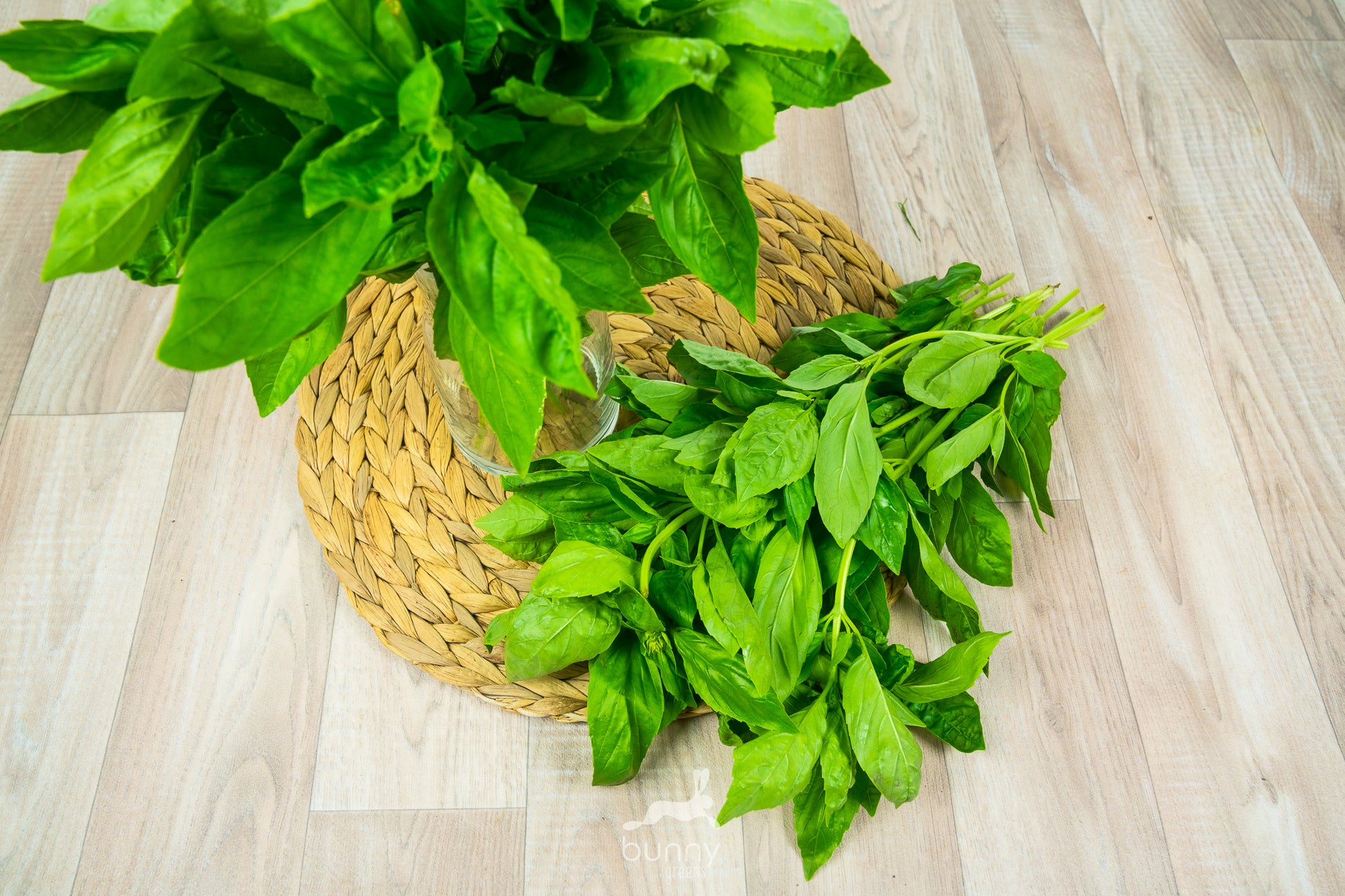 Basilikum